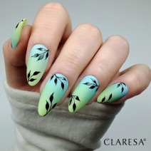 Gél lak CLARESA Mint 2 5ml