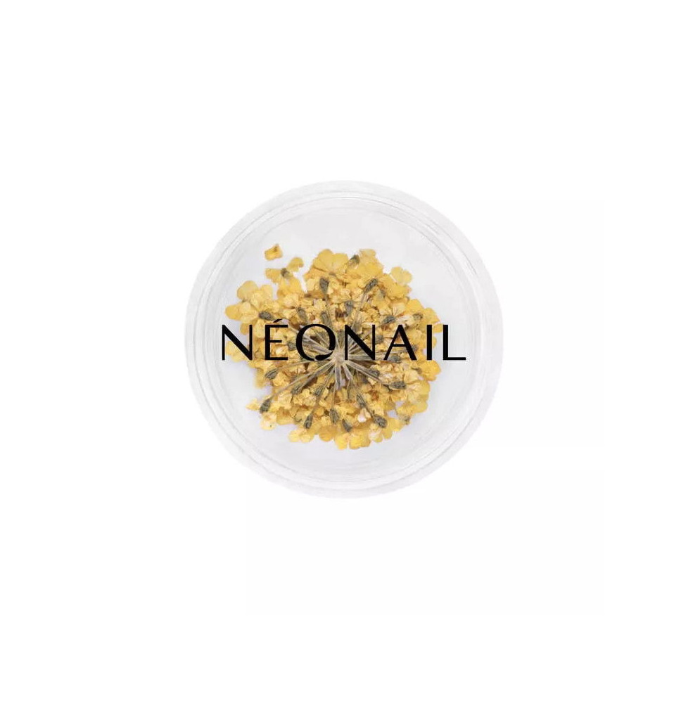 Neonail ozdoby kvietky Yellow 07