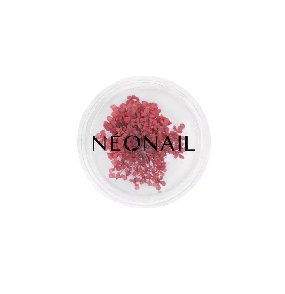 Neonail ozdoby kvietky Red 08