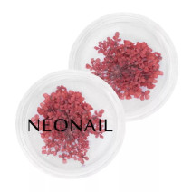 Neonail ozdoby kvietky Red 08