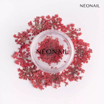 Neonail ozdoby kvietky Red 08