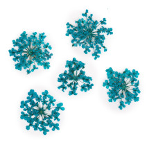 Molly Lac ozdoby kvietky tyrkysové 5ks