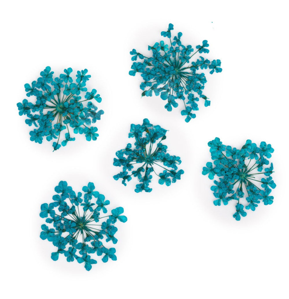 Molly Lac ozdoby kvietky tyrkysové 5ks