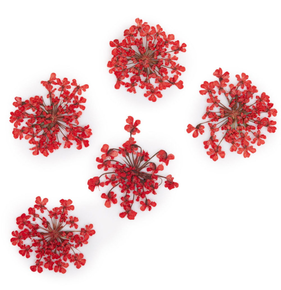 Molly Lac ozdoby kvietky červené 5ks