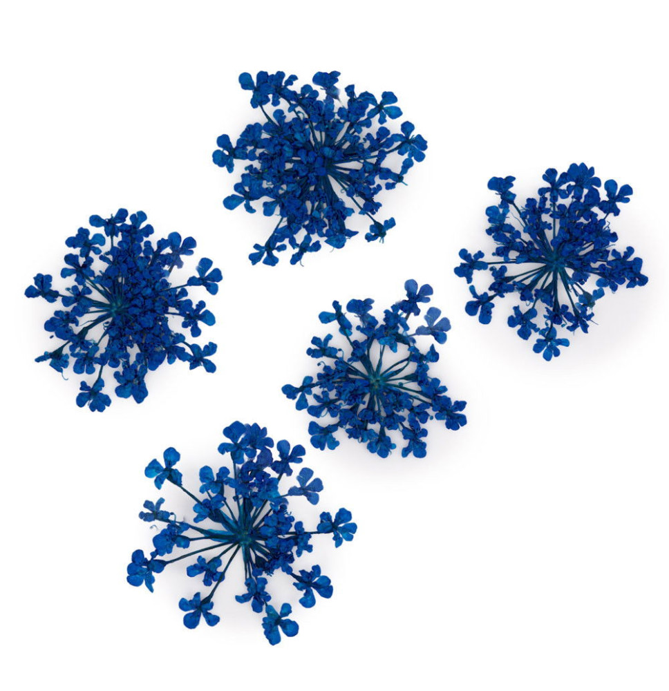 Molly Lac ozdoby kvietky Royal modré 5ks