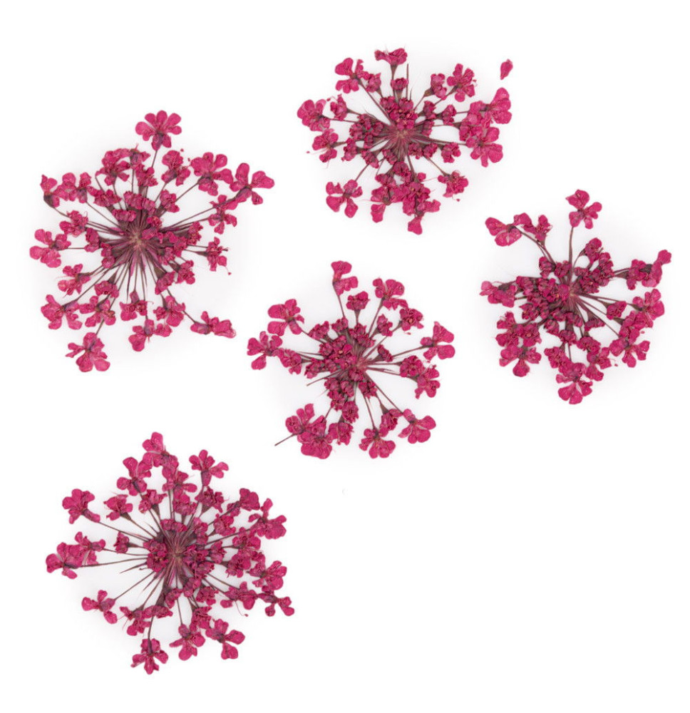 Molly Lac ozdoby kvietky  Fuchsia 5ks