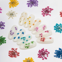 Molly Lac ozdoby kvietky  Fuchsia 5ks