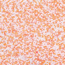 Prášok na nechty Rush effect 09 1g