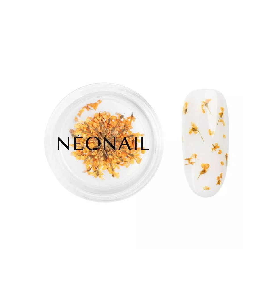 Neonail ozdoby kvietky Orange 03