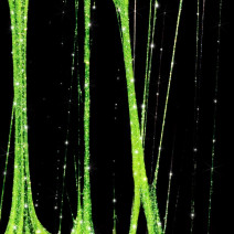 Molly Lac spider gél Disco Flashing Vision 3ml