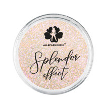 Prášok na nechty Splendor effect 06 2g