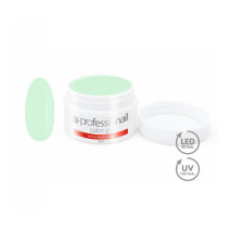 FAREBNÝ LED-UV GÉL 5ML PROFESSIONAIL Pistachio