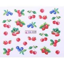 Vodonálepky s motívmi ovocia BN-839