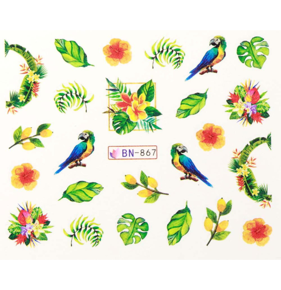 Vodonálepky s motívom papagája BN-867