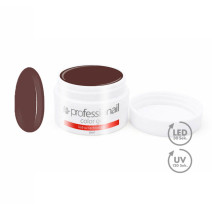 FAREBNÝ LED-UV GÉL 5ML PROFESSIONAIL CASTANEA