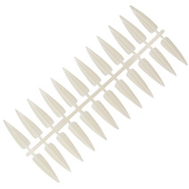 NechtovyRAJ vzorkovník naturálny špicatý 240 ks