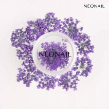 Neonail ozdoby kvietky Violet 06