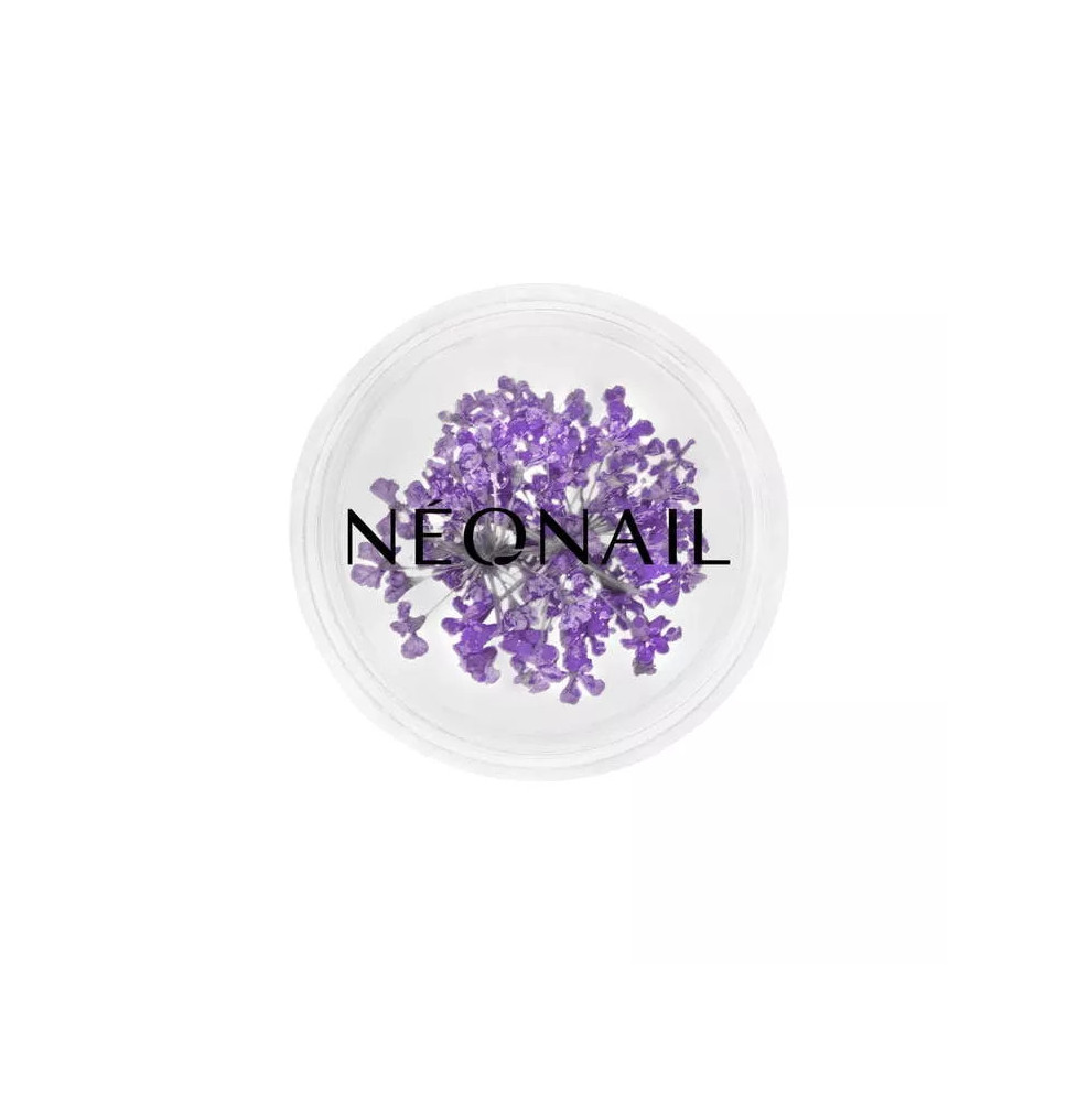 Neonail ozdoby kvietky Violet 06