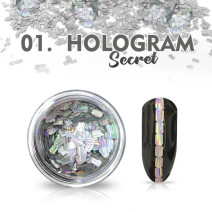Hologram Secret 01 - strieborné